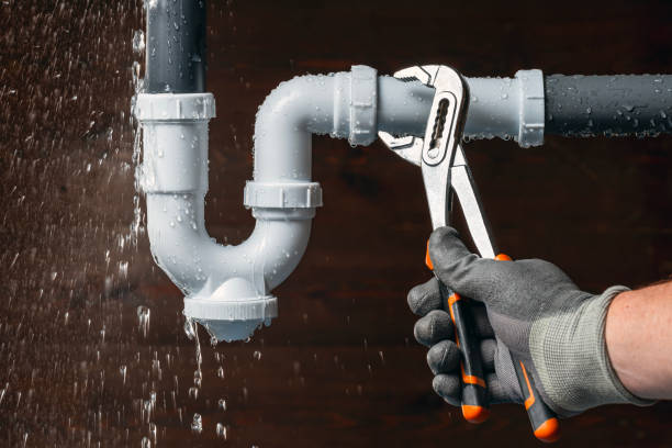 Professional Plumbing technician working in Thornfield, MO
